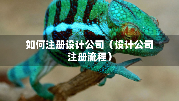 如何注冊設(shè)計公司（設(shè)計公司注冊流程）