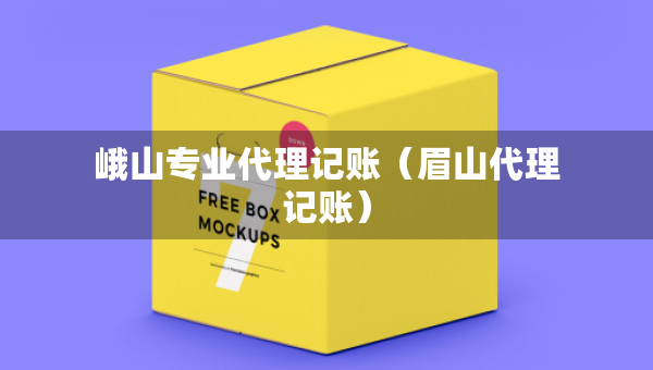 峨山專(zhuān)業(yè)代理記賬（眉山代理記賬）