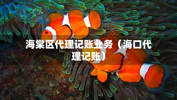 海棠區(qū)代理記賬業(yè)務(wù)（?？诖碛涃~）