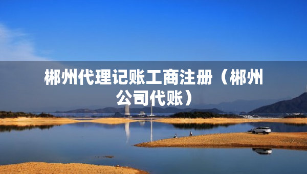 郴州代理記賬工商注冊（郴州公司代賬）