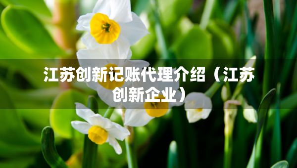 江蘇創(chuàng)新記賬代理介紹（江蘇創(chuàng)新企業(yè)）