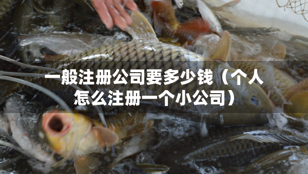 一般注冊(cè)公司要多少錢（個(gè)人怎么注冊(cè)一個(gè)小公司）