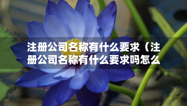 注冊(cè)公司名稱有什么要求（注冊(cè)公司名稱有什么要求嗎怎么填）
