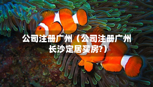公司注冊廣州（公司注冊廣州 長沙定居買房?）