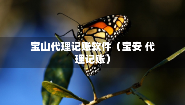 寶山代理記賬軟件（寶安 代理記賬）