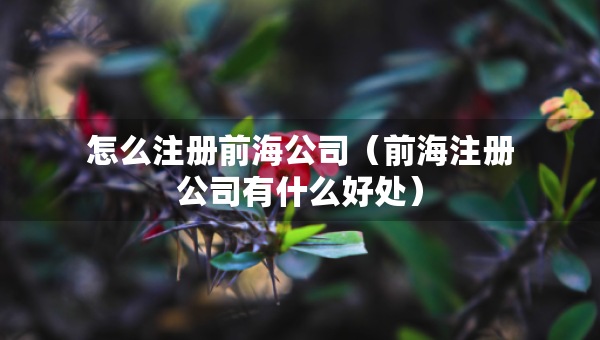 怎么注冊(cè)前海公司（前海注冊(cè)公司有什么好處）