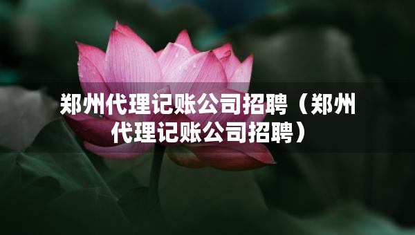 鄭州代理記賬公司招聘（鄭州代理記賬公司招聘）