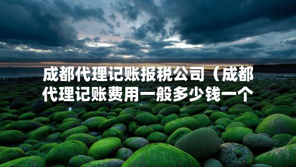 成都代理記賬報(bào)稅公司（成都代理記賬費(fèi)用一般多少錢一個(gè)月）