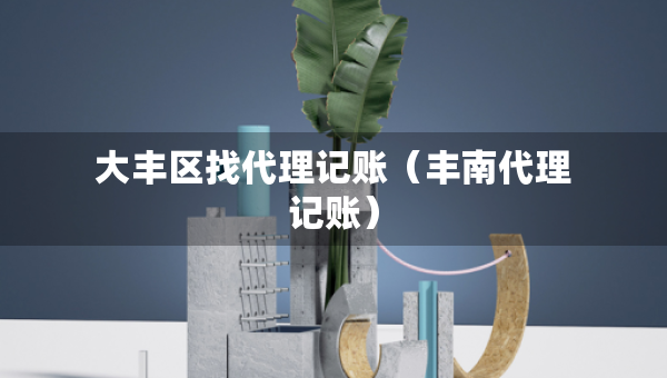大豐區(qū)找代理記賬（豐南代理記賬）