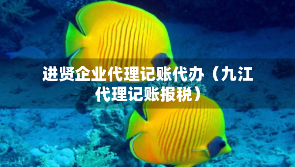 進(jìn)賢企業(yè)代理記賬代辦（九江代理記賬報(bào)稅）