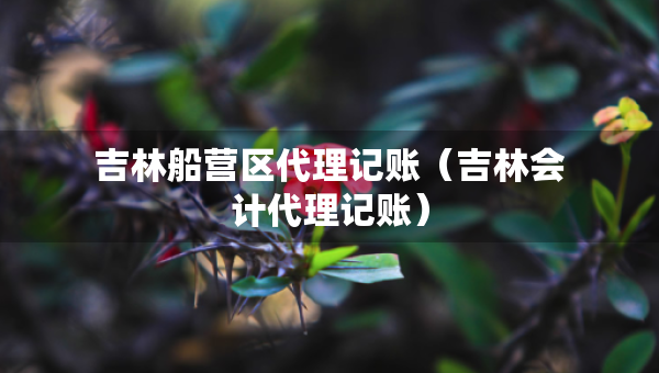 吉林船營(yíng)區(qū)代理記賬（吉林會(huì)計(jì)代理記賬）
