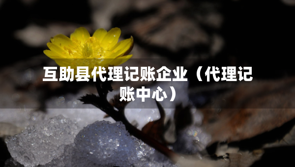 互助縣代理記賬企業(yè)（代理記賬中心）