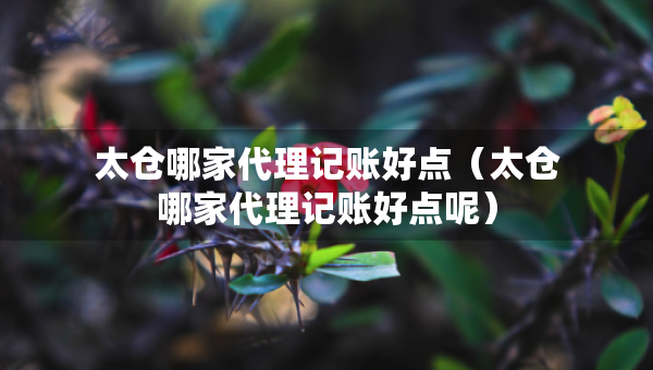 太倉哪家代理記賬好點(diǎn)（太倉哪家代理記賬好點(diǎn)呢）
