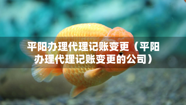 平陽辦理代理記賬變更（平陽辦理代理記賬變更的公司）