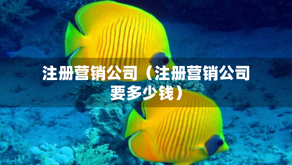 注冊(cè)營(yíng)銷公司（注冊(cè)營(yíng)銷公司要多少錢）