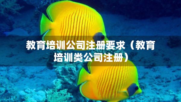 教育培訓(xùn)公司注冊(cè)要求（教育培訓(xùn)類公司注冊(cè)）