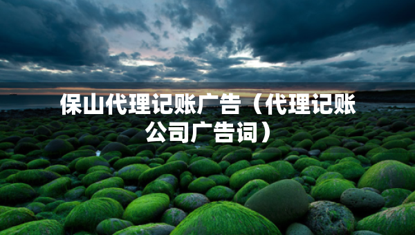 保山代理記賬廣告（代理記賬公司廣告詞）