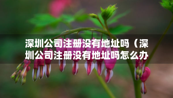 深圳公司注冊沒有地址嗎（深圳公司注冊沒有地址嗎怎么辦）
