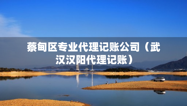 蔡甸區(qū)專業(yè)代理記賬公司（武漢漢陽代理記賬）