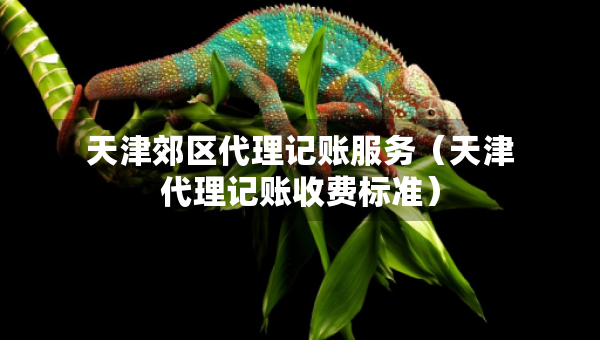 天津郊區(qū)代理記賬服務(wù)（天津代理記賬收費標準）