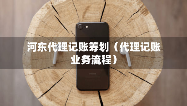 河?xùn)|代理記賬籌劃（代理記賬業(yè)務(wù)流程）