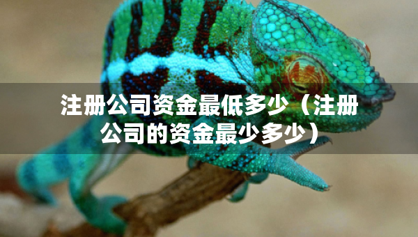 注冊公司資金最低多少（注冊公司的資金最少多少）