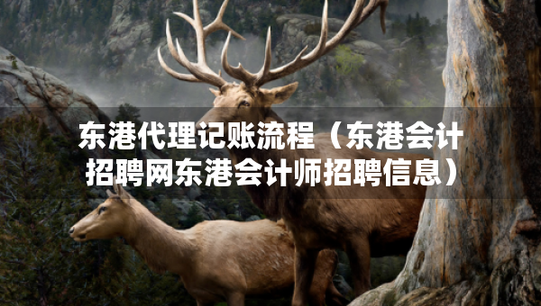 東港代理記賬流程（東港會(huì)計(jì)招聘網(wǎng)東港會(huì)計(jì)師招聘信息）