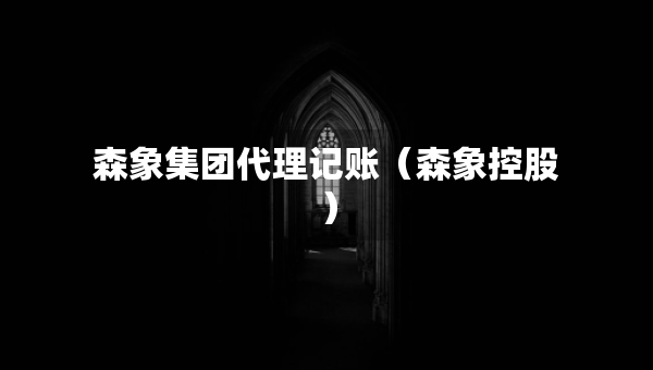 森象集團(tuán)代理記賬（森象控股）