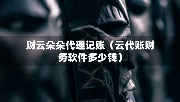 財(cái)云朵朵代理記賬（云代賬財(cái)務(wù)軟件多少錢(qián)）