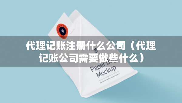 代理記賬注冊(cè)什么公司（代理記賬公司需要做些什么）