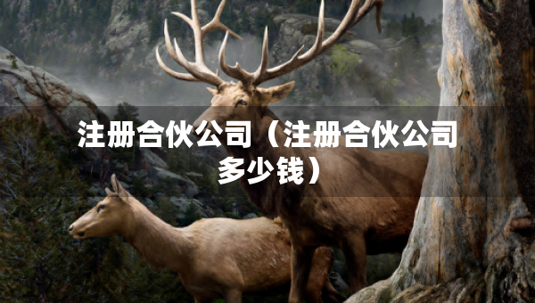 注冊(cè)合伙公司（注冊(cè)合伙公司多少錢）