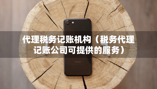 代理稅務(wù)記賬機構(gòu)（稅務(wù)代理記賬公司可提供的服務(wù)）