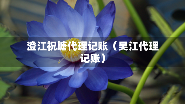 澄江祝塘代理記賬（吳江代理記賬）