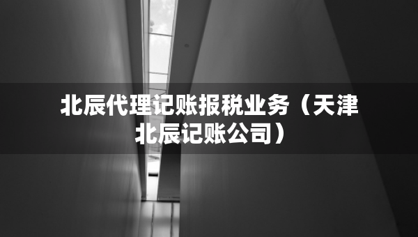 北辰代理記賬報稅業(yè)務(wù)（天津北辰記賬公司）