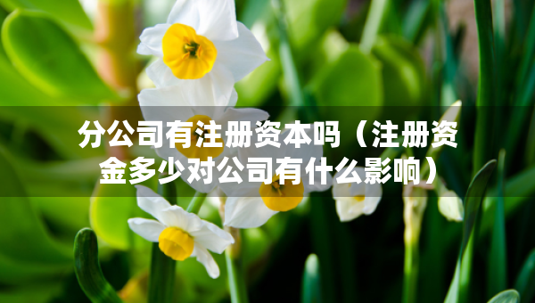 分公司有注冊資本嗎（注冊資金多少對公司有什么影響）