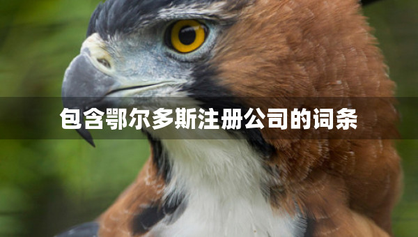 包含鄂爾多斯注冊公司的詞條