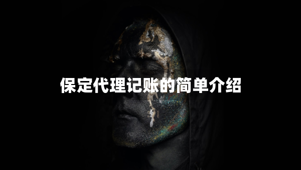 保定代理記賬的簡(jiǎn)單介紹