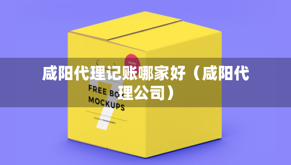 咸陽代理記賬哪家好（咸陽代理公司）