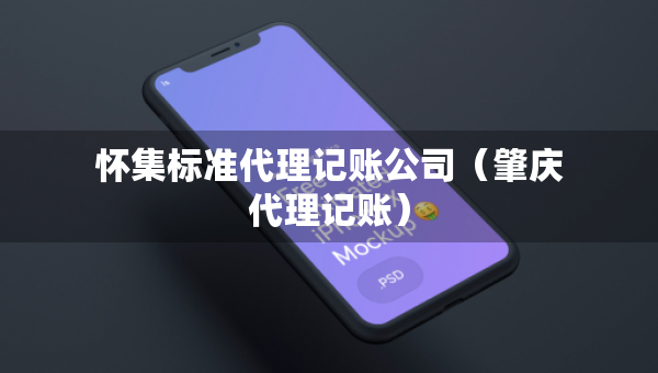 懷集標(biāo)準(zhǔn)代理記賬公司（肇慶代理記賬）