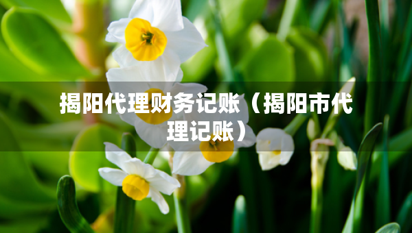 揭陽代理財務(wù)記賬（揭陽市代理記賬）