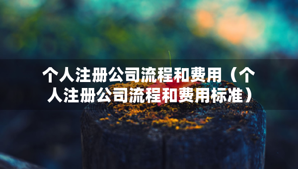 個(gè)人注冊(cè)公司流程和費(fèi)用（個(gè)人注冊(cè)公司流程和費(fèi)用標(biāo)準(zhǔn)）