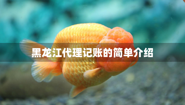 黑龍江代理記賬的簡單介紹