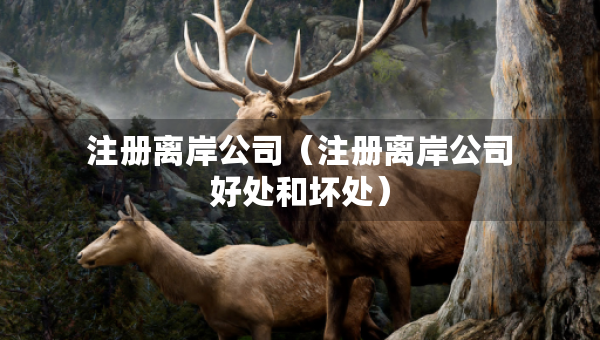 注冊(cè)離岸公司（注冊(cè)離岸公司好處和壞處）