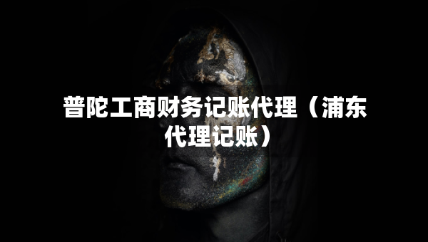 普陀工商財(cái)務(wù)記賬代理（浦東 代理記賬）