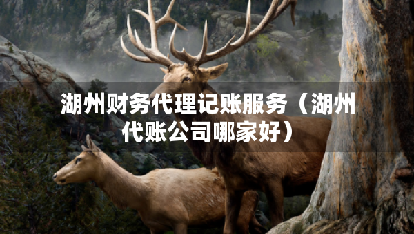 湖州財(cái)務(wù)代理記賬服務(wù)（湖州代賬公司哪家好）