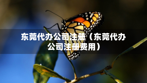 東莞代辦公司注冊（東莞代辦公司注冊費用）