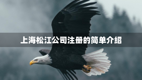 上海松江公司注冊(cè)的簡(jiǎn)單介紹