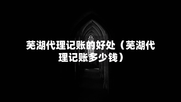 蕪湖代理記賬的好處（蕪湖代理記賬多少錢）