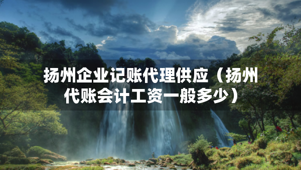 揚州企業(yè)記賬代理供應（揚州代賬會計工資一般多少）