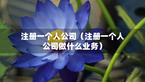 注冊一個(gè)人公司（注冊一個(gè)人公司做什么業(yè)務(wù)）